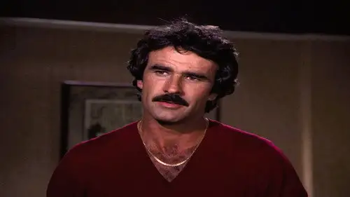 Dinastía 1981 Temporada 3 Episodios 12 • Sub Español