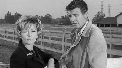 Perry Mason Temporada 6 Episodios 11 • Sub Español