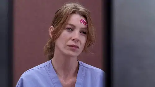 Anatomía de Grey Temporada 2 Episodios 8 • Sub Español