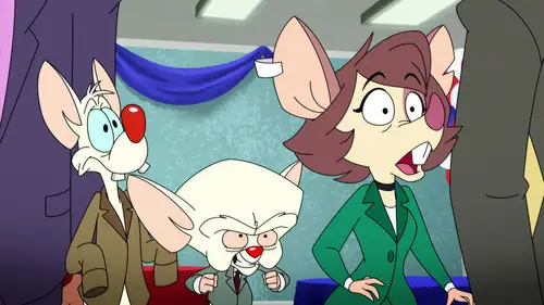 Animaniacs Temporada 1 Episodios 24 • Sub Español