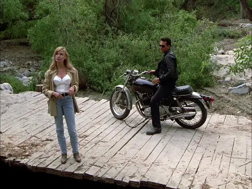 Se ha escrito un crimen Temporada 12 Episodios 3 • Sub Español