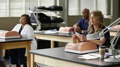 Anatomía de Grey Temporada 9 Cap 13 • Español Online