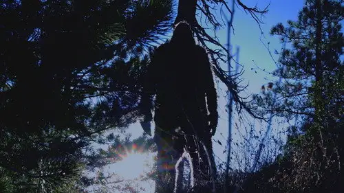 Alienígenas ancestrales Temporada 20 Episodios 2 • Sub Español