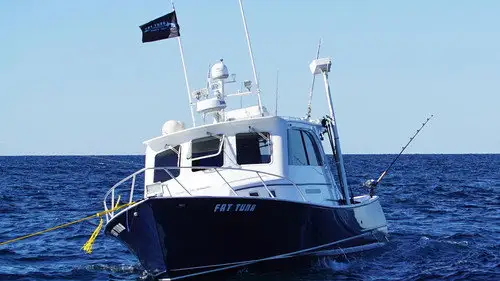 Pesca Pesada Temporada 10 Episodios 16 • Sub Español