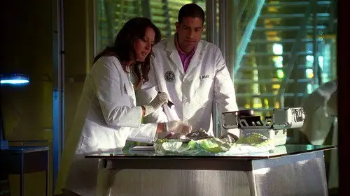 CSI: Miami Temporada 7 Episodios 5 • Sub Español