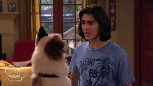 Mi perro tiene un blog Temporada 1 Episodios 12 • Sub Español
