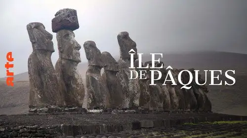 ARTE 360° Reportage Temporada 25 Episodios 11 • Sub Español