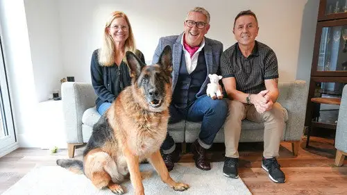 Dogs Behaving (Very) Badly Temporada 7 Episodios 3 • Sub Español