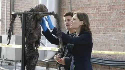 Bones Temporada 2 Episodios 11 • Sub Español