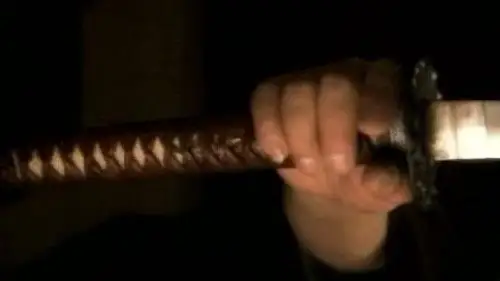 NOVA Temporada 35 Cap 1 • Español Online