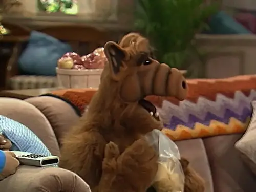 ALF Temporada 1 Episodios 21 • Sub Español