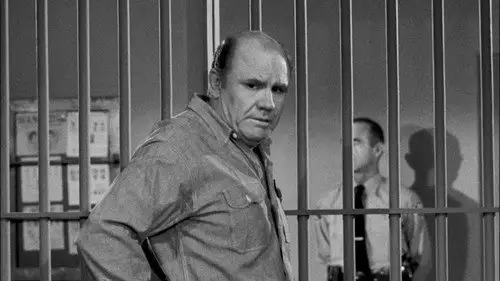 Perry Mason Temporada 6 Episodios 8 • Sub Español