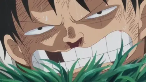 One Piece Temporada 19 Episodios 811 • Sub Español