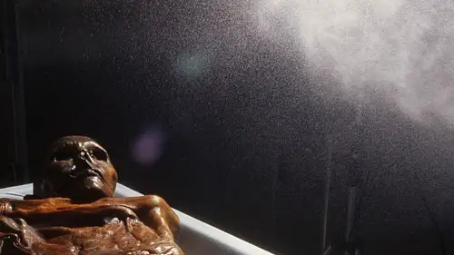 NOVA Temporada 43 Cap 16 • Español Online