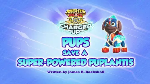 La Patrulla Canina Temporada 0 Episodios 9 • Sub Español