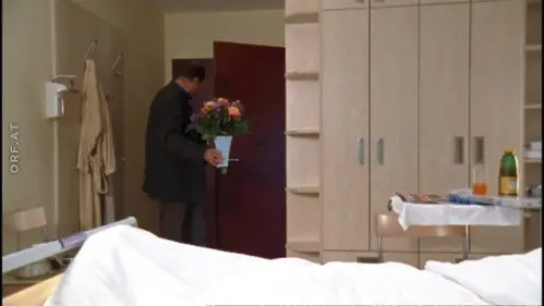 Crimen en los Alpes Temporada 4 Episodios 5 • Sub Español
