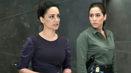 Blindspot Temporada 2 Episodios 9 • Sub Español