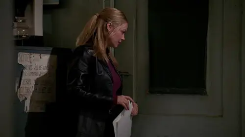 NYPD Blue Temporada 10 Cap 14 • Español Online