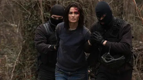 Absentia Temporada 1 Episodios 10 • Sub Español