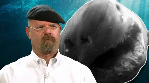 Shark Week S25E4 • Oglądaj Online