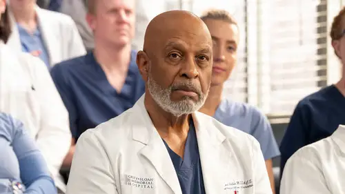Anatomía de Grey Temporada 21 Episodios 14 • Sub Español