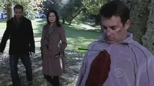 CSI: Nueva York Temporada 8 Episodios 13 • Sub Español
