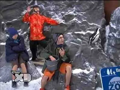 Wasabi Warriors Temporada 1 Episodios 9 • Sub Español