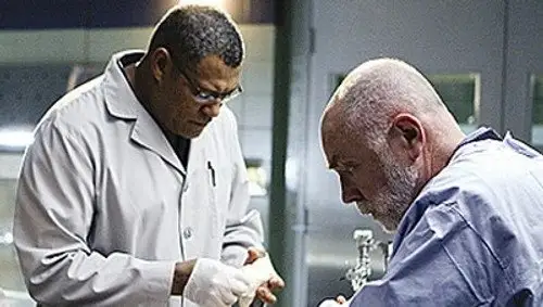 CSI: Las Vegas Temporada 9 Episodios 13 • Sub Español