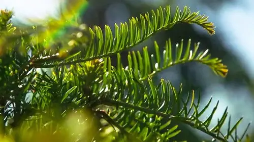 Countryfile S36E15 • Oglądaj Online