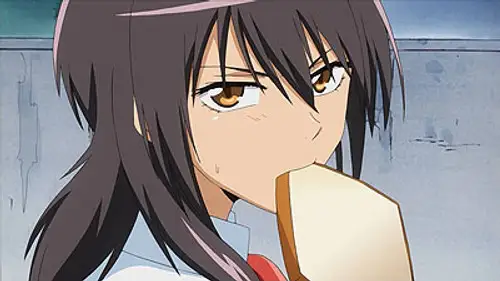 Kaichou wa Maid-sama! Temporada 1 Episodios 14 • Sub Español