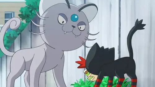 Pokémon Temporada 20 Episodios 7 • Sub Español