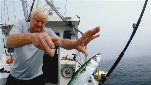 Pesca Pesada Temporada 10 Episodios 7 • Sub Español