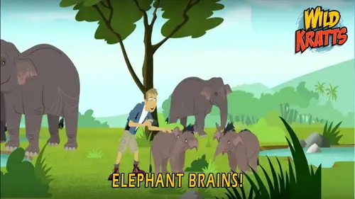 Los Hermanos Kratt Temporada 5 Episodios 8 • Sub Español