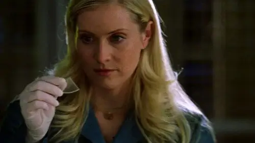 CSI: Miami Temporada 2 Episodios 12 • Sub Español