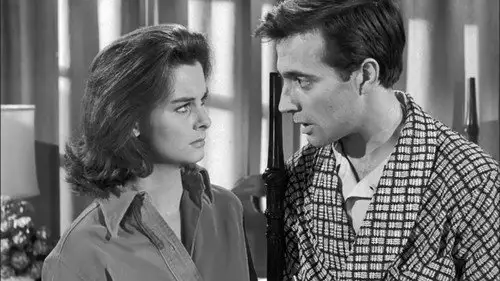 Perry Mason Temporada 5 Episodios 10 • Sub Español