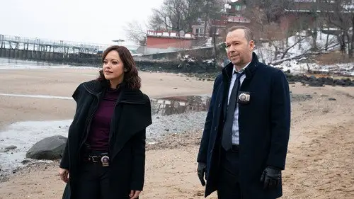 Familia de policías Temporada 11 Episodios 8 • Sub Español
