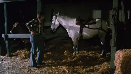 Los Walton Temporada 3 Episodios 3 • Sub Español