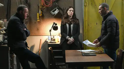 Chicago P.D. Temporada 11 Episodios 9 • Sub Español