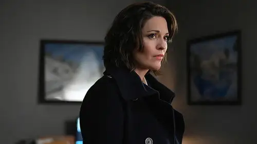 FBI Temporada 4 Episodios 15 • Sub Español
