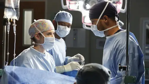 Anatomía de Grey Temporada 10 Episodios 11 • Sub Español