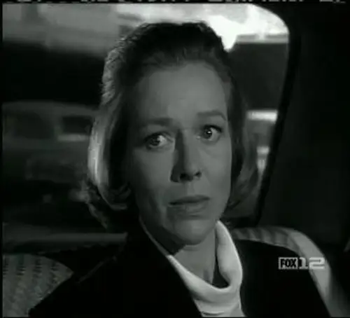 Perry Mason Temporada 7 Episodios 13 • Sub Español
