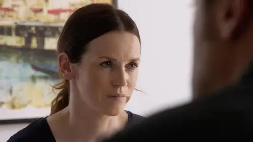 District 31 Temporada 1 Episodios 17 • Sub Español