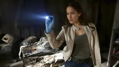 Rosewood Temporada 1 Episodios 5 • Sub Español