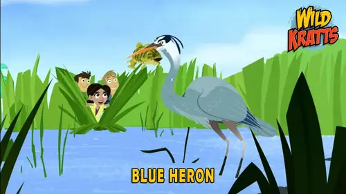 Los Hermanos Kratt Temporada 5 Episodios 11 • Sub Español