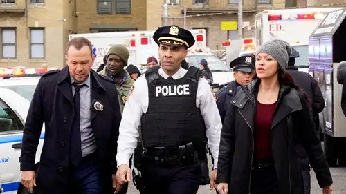 Familia de policías Temporada 8 Episodios 14 • Sub Español