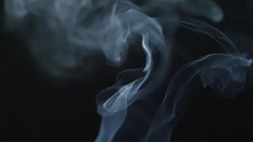 NOVA Temporada 48 Cap 13 • Español Online