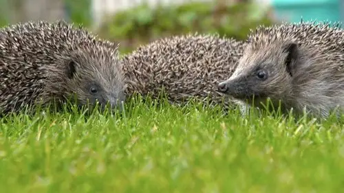 Countryfile S34E5 • Oglądaj Online