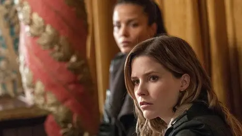 Chicago P.D. Temporada 1 Episodios 13 • Sub Español