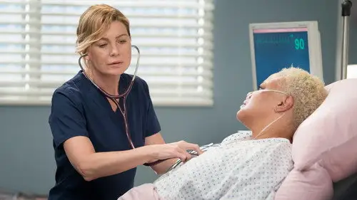Anatomía de Grey Temporada 15 Cap 1 • Español Online