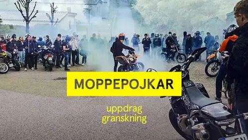 Uppdrag granskning Temporada 21 Episodios 17 • Sub Español